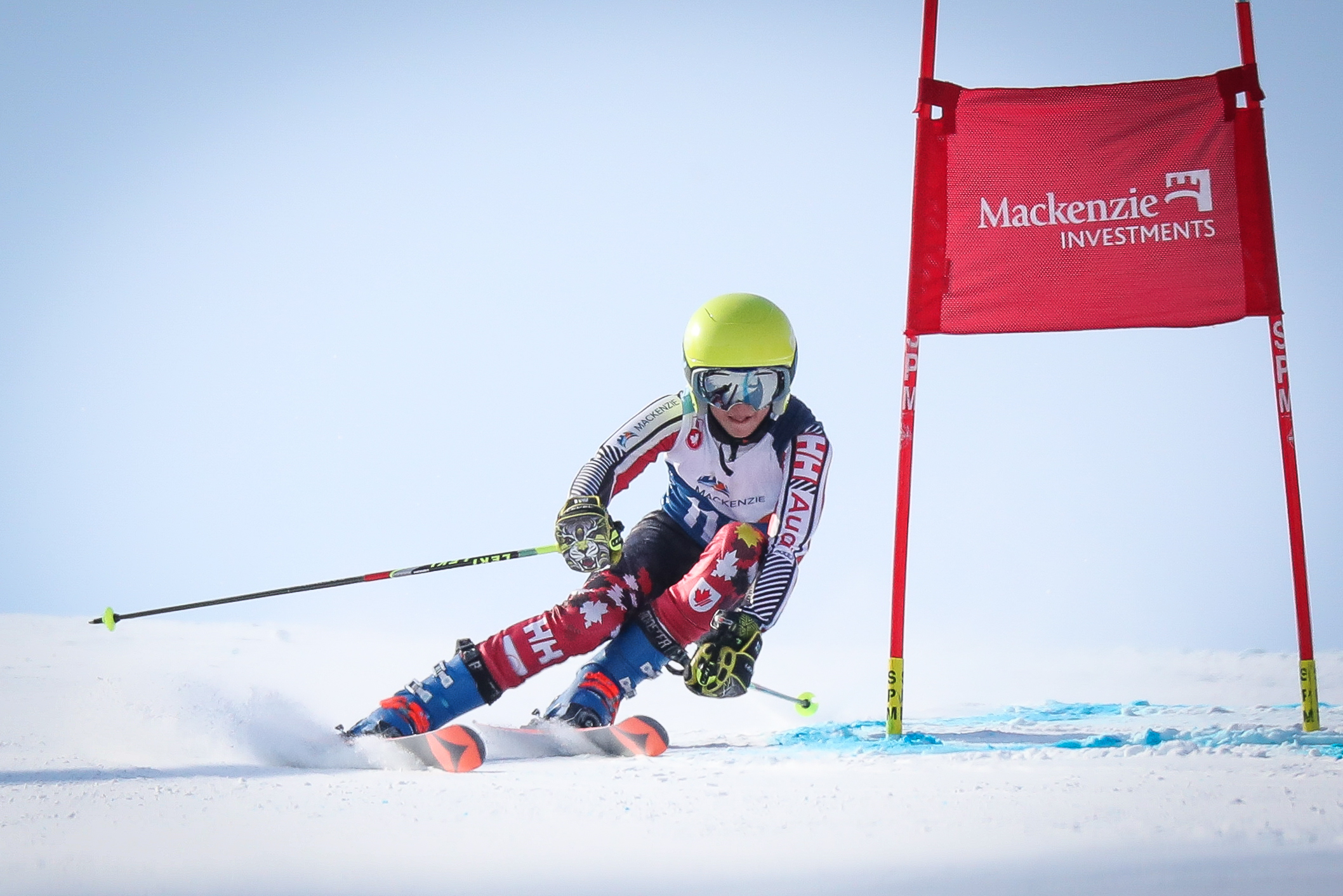 Alpine Ontario Alpin